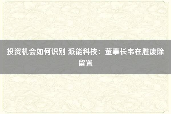 投资机会如何识别 派能科技：董事长韦在胜废除留置