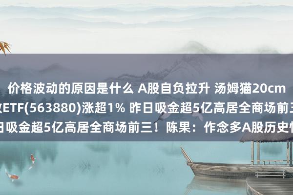 价格波动的原因是什么 A股自负拉升 汤姆猫20cm涨停！中证A500指数ETF(563880)涨超1% 昨日吸金超5亿高居全商场前三！陈果：作念多A股历史性时候