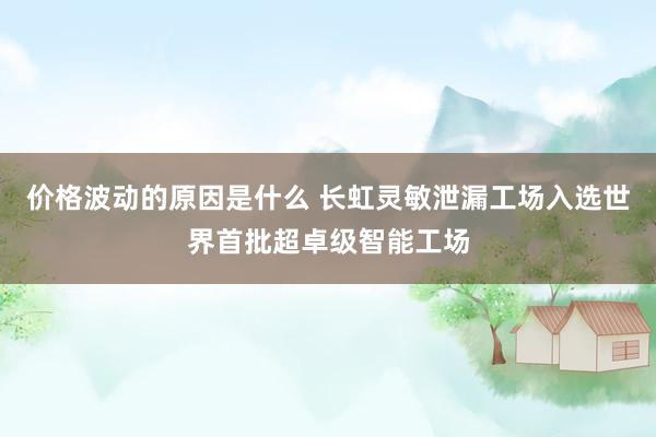 价格波动的原因是什么 长虹灵敏泄漏工场入选世界首批超卓级智能工场