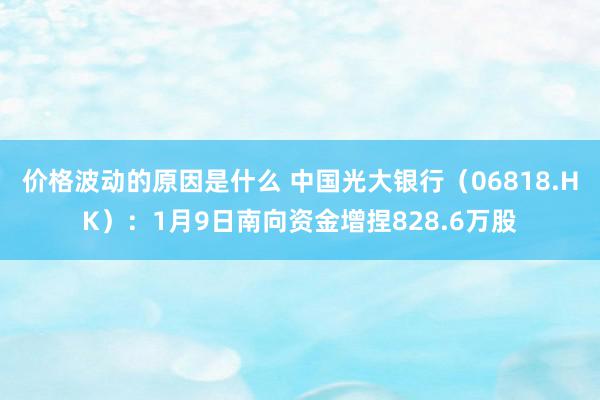 价格波动的原因是什么 中国光大银行（06818.HK）：1月9日南向资金增捏828.6万股