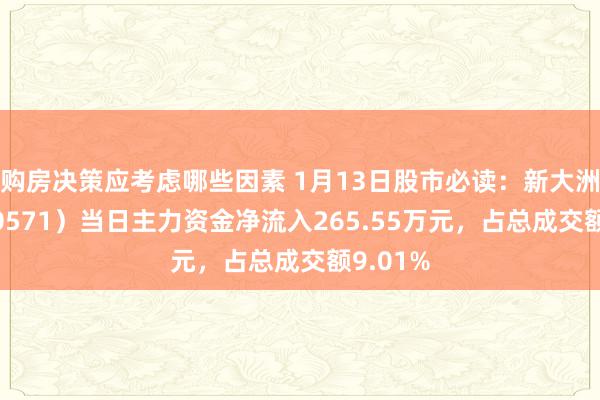 购房决策应考虑哪些因素 1月13日股市必读：新大洲A（000571）当日主力资金净流入265.55万元，占总成交额9.01%