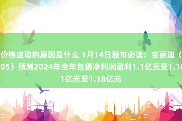 价格波动的原因是什么 1月14日股市必读：宝丽迪（300905）预测2024年全年包摄净利润盈利1.1亿元至1.18亿元