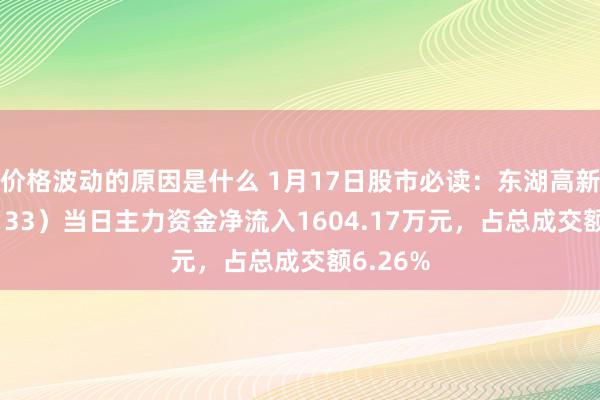 价格波动的原因是什么 1月17日股市必读：东湖高新（600133）当日主力资金净流入1604.17万元，占总成交额6.26%