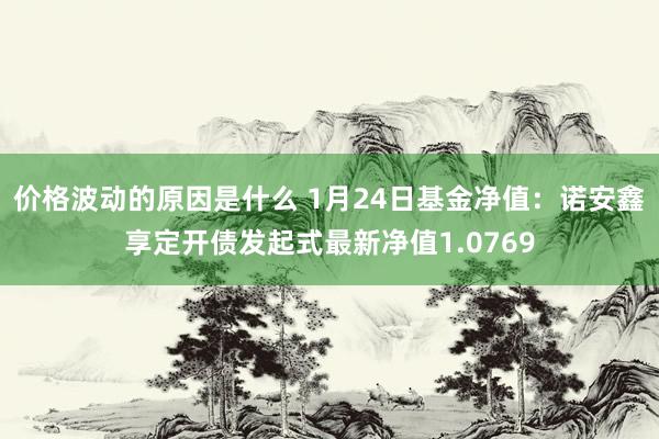 价格波动的原因是什么 1月24日基金净值：诺安鑫享定开债发起式最新净值1.0769