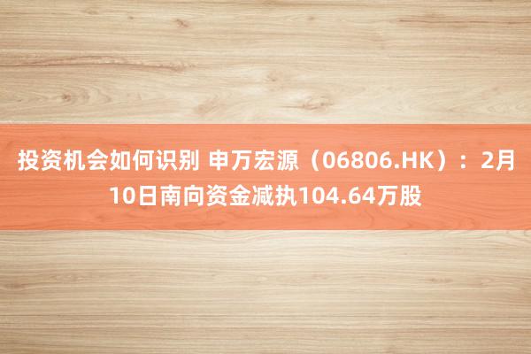 投资机会如何识别 申万宏源（06806.HK）：2月10日南向资金减执104.64万股