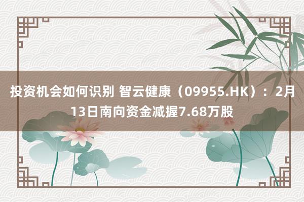 投资机会如何识别 智云健康（09955.HK）：2月13日南向资金减握7.68万股