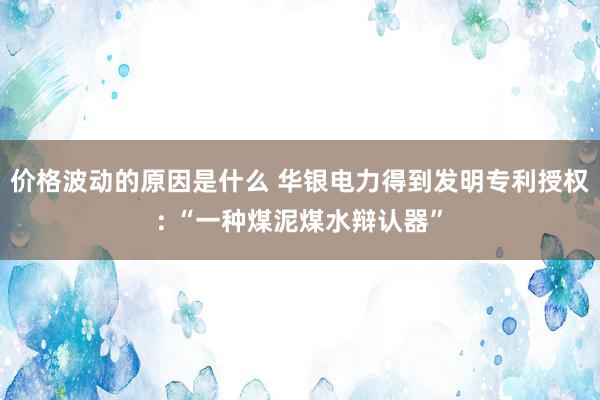 价格波动的原因是什么 华银电力得到发明专利授权: “一种煤泥煤水辩认器”