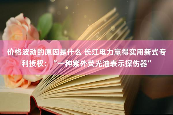 价格波动的原因是什么 长江电力赢得实用新式专利授权：“一种紫外荧光油表示探伤器”