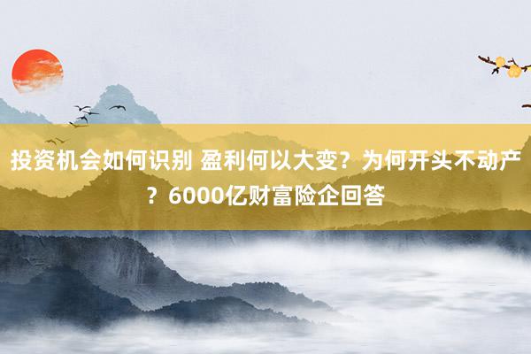 投资机会如何识别 盈利何以大变？为何开头不动产？6000亿财富险企回答