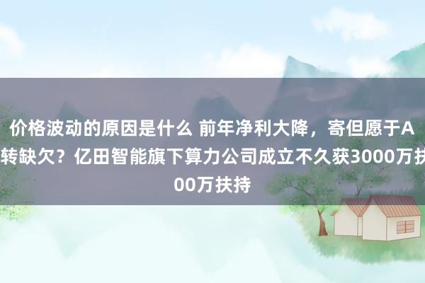 价格波动的原因是什么 前年净利大降，寄但愿于AI扭转缺欠？亿田智能旗下算力公司成立不久获3000万扶持