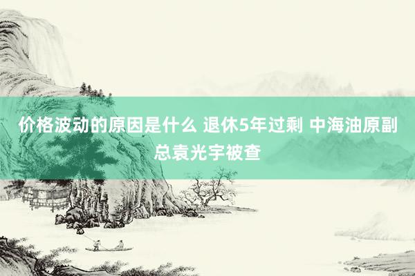 价格波动的原因是什么 退休5年过剩 中海油原副总袁光宇被查