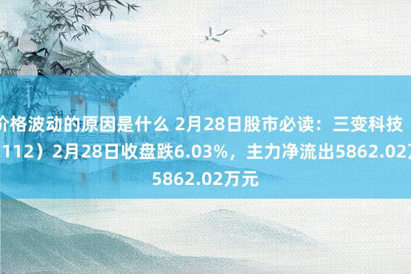 价格波动的原因是什么 2月28日股市必读：三变科技（002112）2月28日收盘跌6.03%，主力净流出5862.02万元