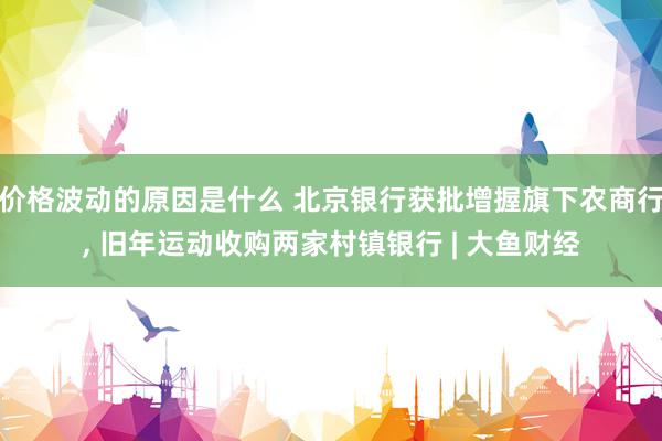 价格波动的原因是什么 北京银行获批增握旗下农商行, 旧年运动收购两家村镇银行 | 大鱼财经