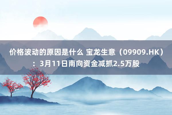 价格波动的原因是什么 宝龙生意（09909.HK）：3月11