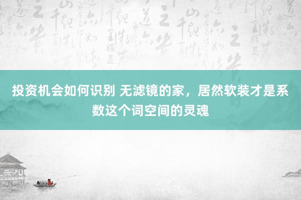 投资机会如何识别 无滤镜的家，居然软装才是系数这个词空间的灵