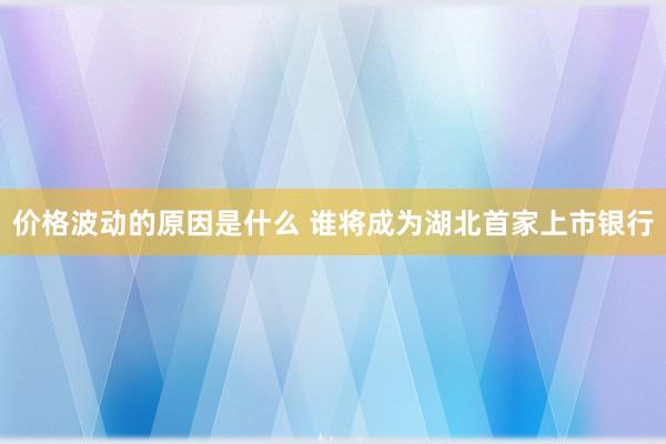 价格波动的原因是什么 谁将成为湖北首家上市银行