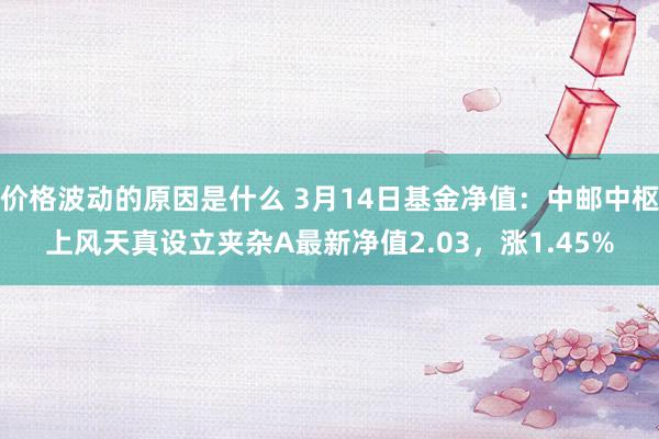 价格波动的原因是什么 3月14日基金净值：中邮中枢上风天真设立夹杂A最新净值2.03，涨1.45%