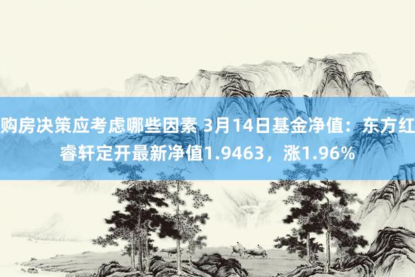 购房决策应考虑哪些因素 3月14日基金净值：东方红睿轩定开最